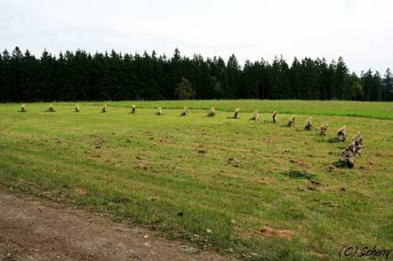 IMG_0720.jpg