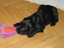 Picture 004.jpg